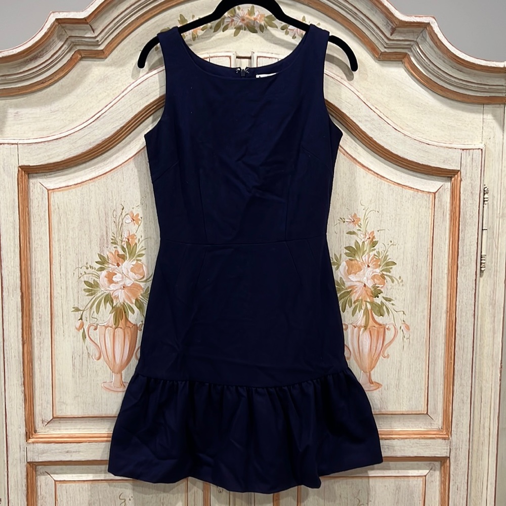 BB Dakota Navy Blue Mini Dress drop waist Size 2